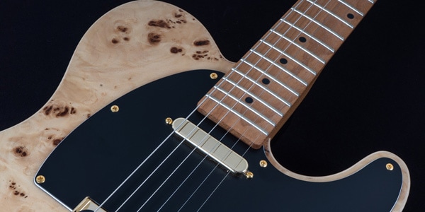 Michael Kelly Guitars ( マイケルケリーギターズ )  / Mod Shop 50 Duncan Natural Burl画像2