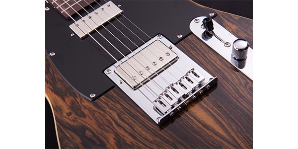 Michael Kelly Guitars ( マイケルケリーギターズ )  / Mod Shop 55 Ebony Custom Fralin Striped Ebony画像3