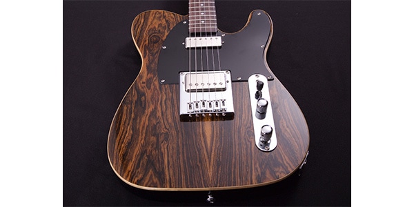 Michael Kelly Guitars ( マイケルケリーギターズ )  / Mod Shop 55 Ebony Custom Fralin Striped Ebony画像4