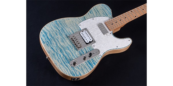 Michael Kelly Guitars ( マイケルケリーギターズ ) Mod Shop 55