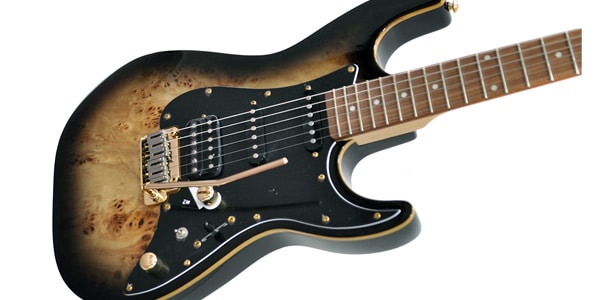 Michael Kelly Guitars / Custom Collection 60 Burl Ultra Black Burl画像2