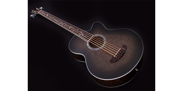 Michael Kelly Guitars / Act Ele Bass Dragonfly 5 Fretless SMBtFishman pickup)画像4