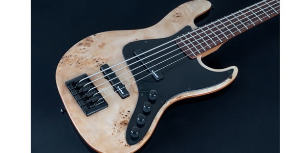 Michael Kelly Guitars / Custom Collection Element 5R画像2
