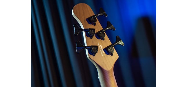 Michael Kelly Guitars / Custom Collection Element 5R画像5