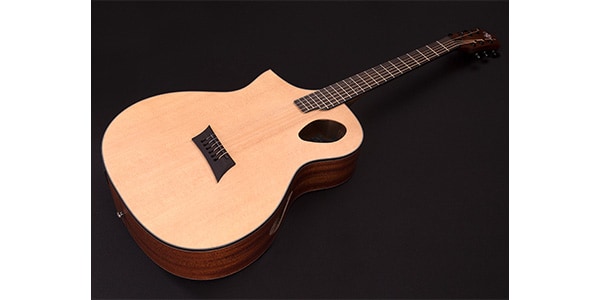 Michael Kelly Guitars / MKFPSNASFXL画像2