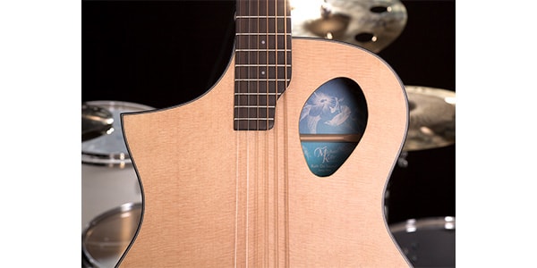 Michael Kelly Guitars / MKFPSNASFXL画像3