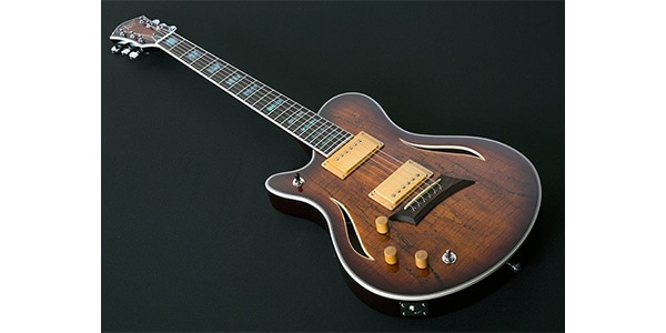 Michael Kelly Guitars / MKHSSSBPYZL画像2