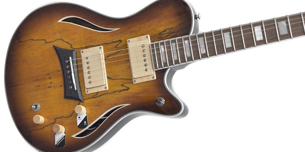 Michael Kelly Guitars ( マイケルケリーギターズ )  / Hybrid Special Spalted Maple Burst画像2