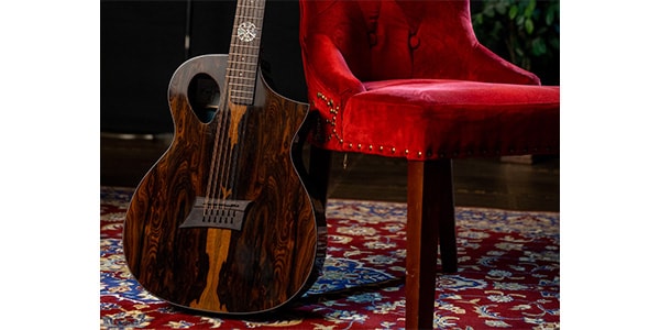 Michael Kelly Guitars ( マイケルケリーギターズ ) MK Ac/ele Gtr