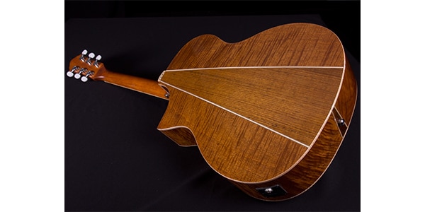 Michael Kelly Guitars ( マイケルケリーギターズ )  / Triad Port Gloss Natural画像2