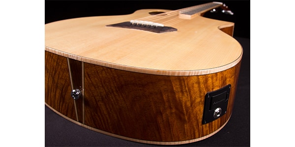 Michael Kelly Guitars ( マイケルケリーギターズ )  / Triad Port Gloss Natural画像5