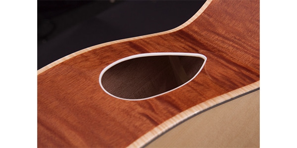 Michael Kelly Guitars ( マイケルケリーギターズ )  / Triad Port Gloss Natural画像6