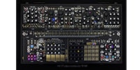 Make Noise System Shared Black &amp; Gold Plus