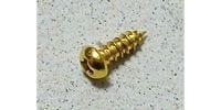 MONTREUX Truss rod cover screws Gold (5) [1923]