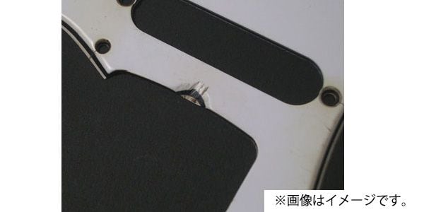 MONTREUX / 65 SC Pickguard Relic [207] 画像3