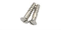 MONTREUX Inch TL control plate screws (2)