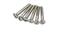 MONTREUX Inch TL bridge and strap pin screws (6)