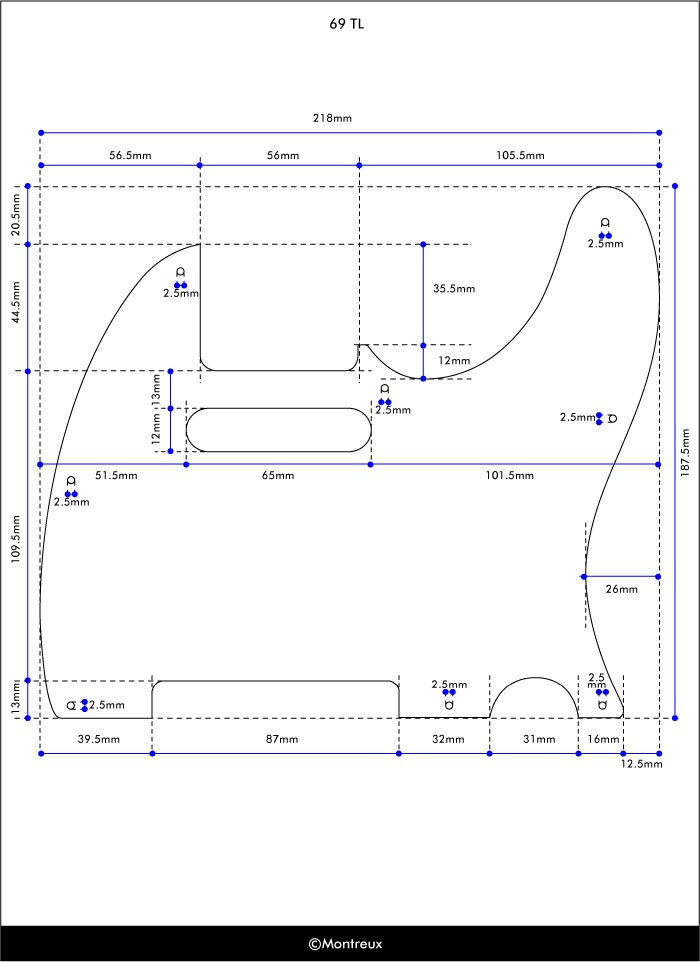 MONTREUX/69 TL pickguard relic [1303]