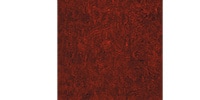MONTREUX / 塩ビ板 300 x 470 (mm) Red Tortoise 4P［8950］