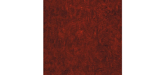 MONTREUX / 塩ビ板 300 x 470 (mm) Red Tortoise 4P［8950］