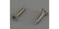 MONTREUX / JPN Pickguard Screw Current Nickel (12)