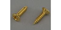MONTREUX / JPN Pickguard Screw Current Gold (12)