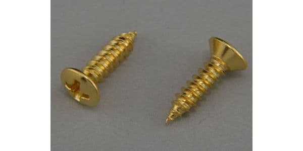 MONTREUX/JPN Pickguard Screw Current Gold (12)