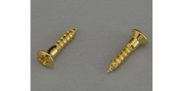 MONTREUX/JPN Pickguard Screw Vintage Gold (12)