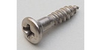 MONTREUX Vintage Inch control / jack plate screws (2) Nickel [9695]