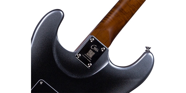 MOOER ( ムーアー )  / GTRS P800 Dark Silver画像3