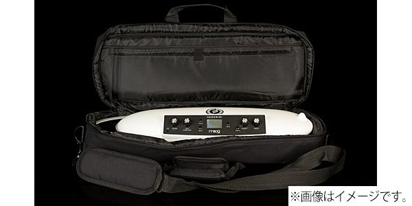 MOOG/Theremini Gig Bag