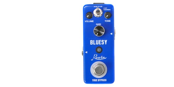 ROWIN / BLUESY画像2