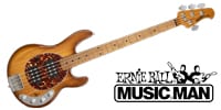 MUSICMAN / StingRay Special HH Hot Honey RM/M-Shell PG