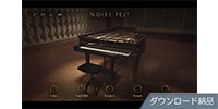 Native Instruments / Noire ダウンロード納品