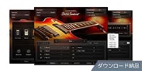 Native Instruments / Session Guitarist - Electric Sunburst ダウンロード納品