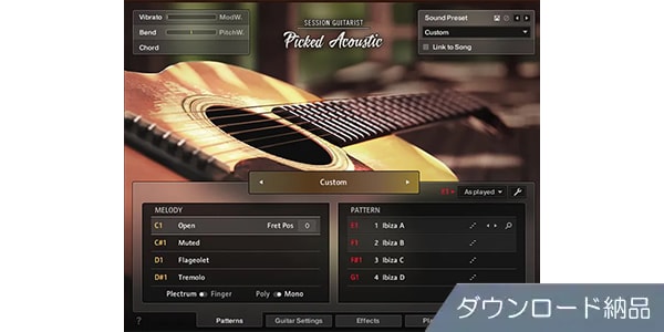 Native Instruments / Session Guitarist - Picked Acoustic ダウンロード納品