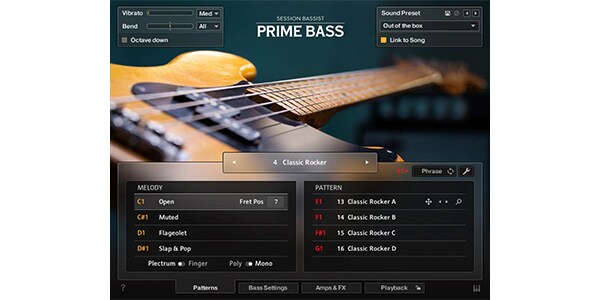 Native Instruments ( ネイティブインストゥルメンツ )  / Session Bassist - Prime Bass ダウンロード納品画像2