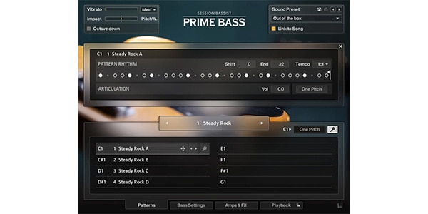 Native Instruments ( ネイティブインストゥルメンツ )  / Session Bassist - Prime Bass ダウンロード納品画像3