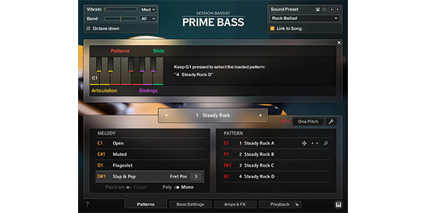 Native Instruments ( ネイティブインストゥルメンツ )  / Session Bassist - Prime Bass ダウンロード納品画像4