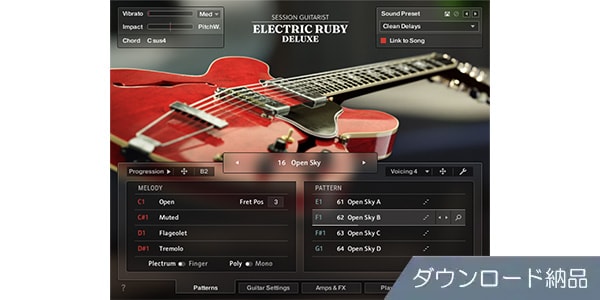 Native Instruments ( ネイティブインストゥルメンツ )  / Session Guitarist - Electric Ruby Deluxe ダウンロード納品