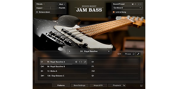 Native Instruments ( ネイティブインストゥルメンツ )  / Session Bassist - Jam Bass ダウンロード納品画像2