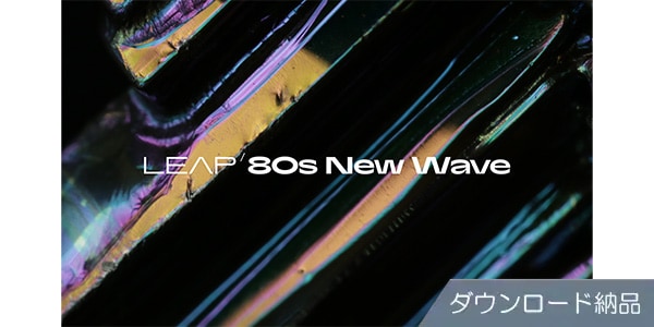 Native Instruments ( ネイティブインストゥルメンツ )  / Leap Expansion - Disco and Funk ダウンロード納品