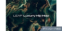 Native Instruments / Leap Expansion - Luxury Hip Hop ダウンロード納品