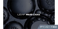 Native Instruments / Leap Expansion - RnB Licks Download Delivery