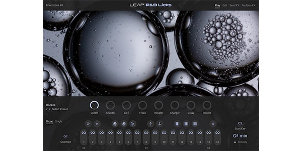 Native Instruments / Leap Expansion - RnB Licks Download Delivery画像2