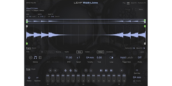 Native Instruments / Leap Expansion - RnB Licks Download Delivery画像3