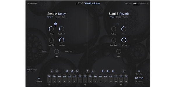 Native Instruments / Leap Expansion - RnB Licks Download Delivery画像4