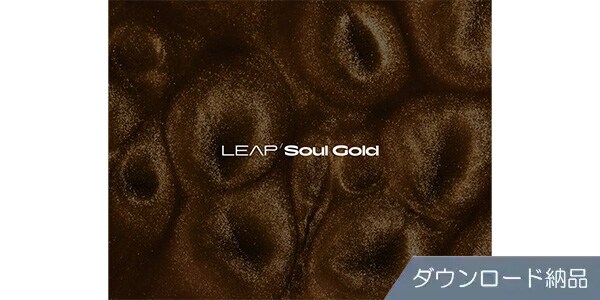 Native Instruments / Leap Expansion - Soul Gold Download Delivery