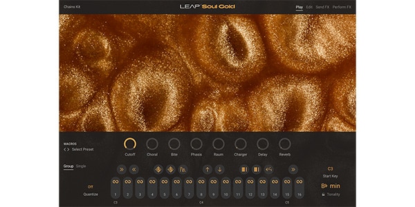 Native Instruments / Leap Expansion - Soul Gold Download Delivery画像2