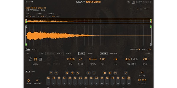 Native Instruments / Leap Expansion - Soul Gold Download Delivery画像3